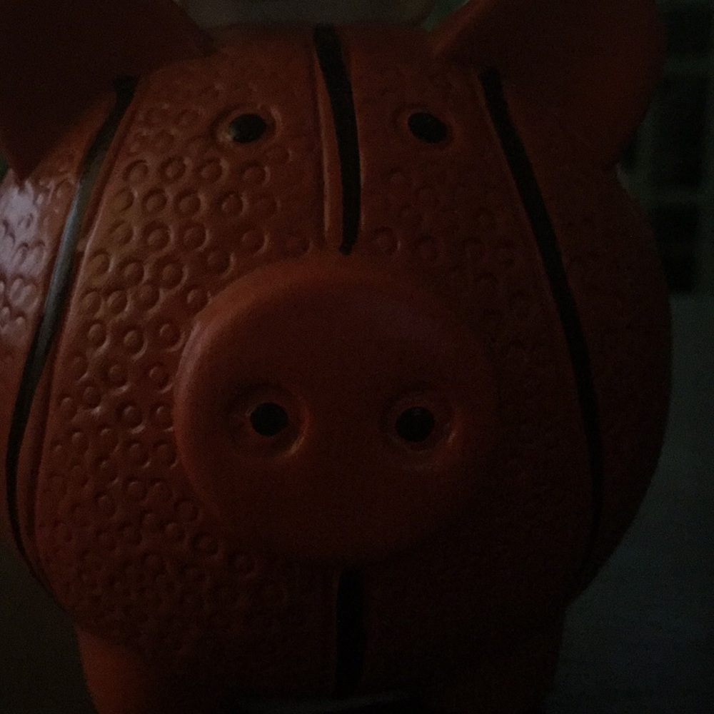 Meet your Posher, Chadwick